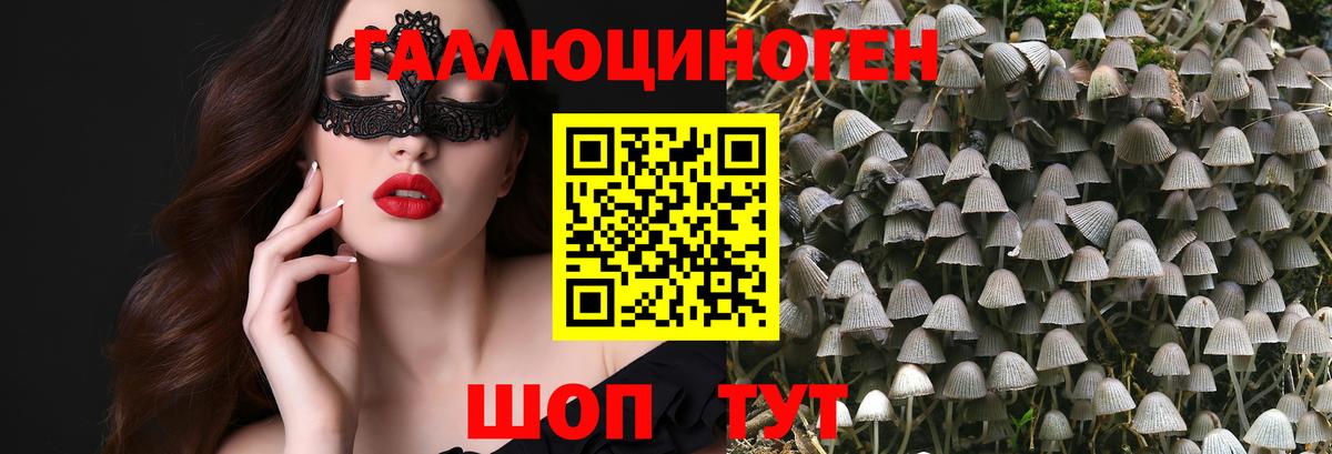 Псилоцибиновые грибы Cubensis  купить закладку  Апшеронск  Вход с VPN 